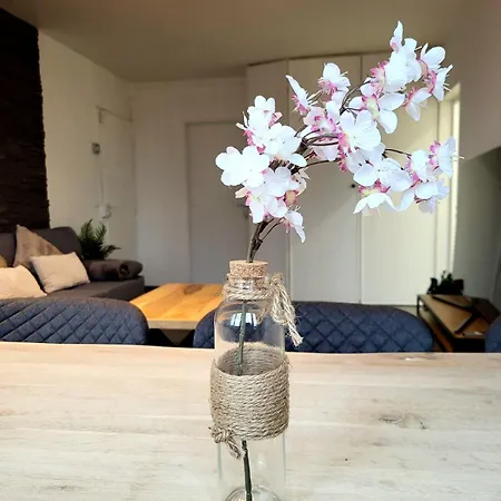 Bel Sur Marne Apartment